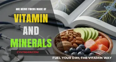Unraveling the Myth: Nerve Fibers and the Vitamin-Mineral Connection