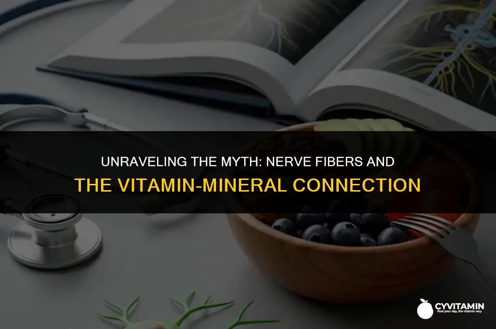 are nerve fibers made of vitamin and minerals