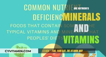Unlocking the Essentials: Nutrients, Minerals, and Vitamins Explained