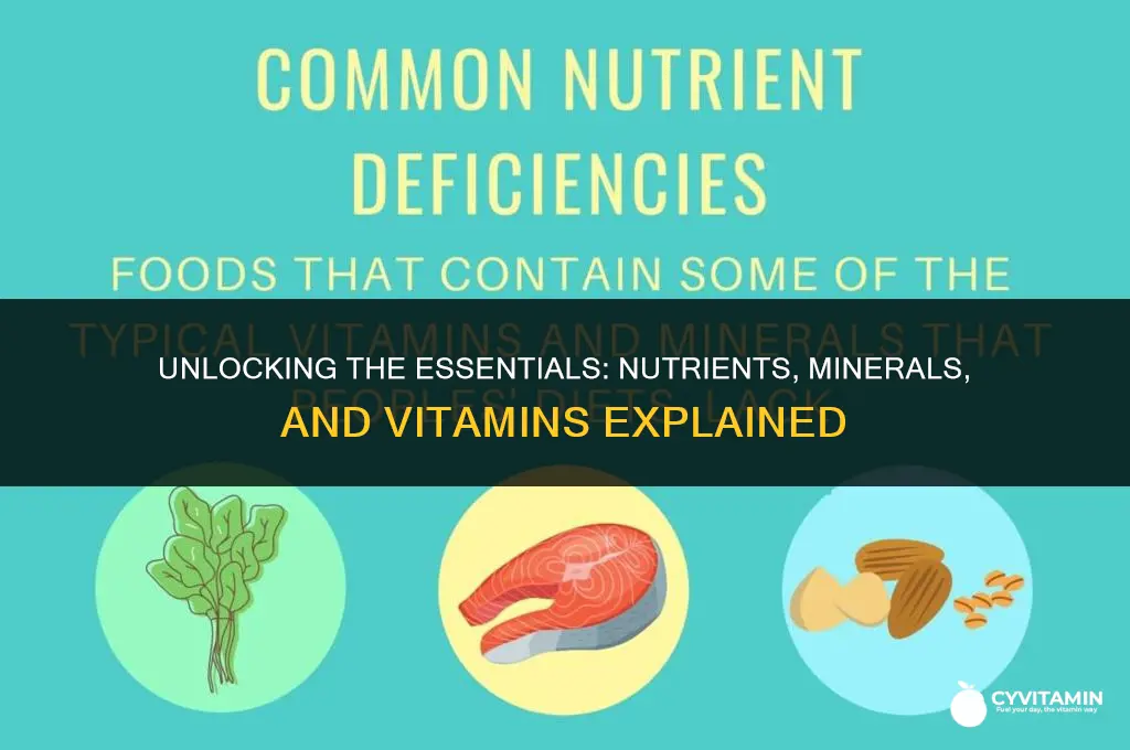 are nutrients minerals and vitamins
