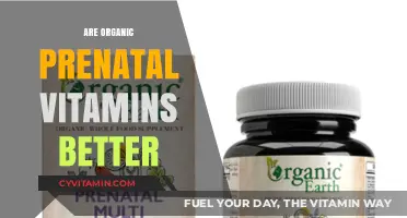 Nourishing Beginnings: The Truth About Organic Prenatal Vitamins