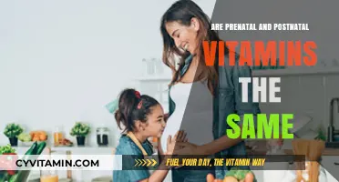 Exploring the Differences: Prenatal vs. Postnatal Vitamins