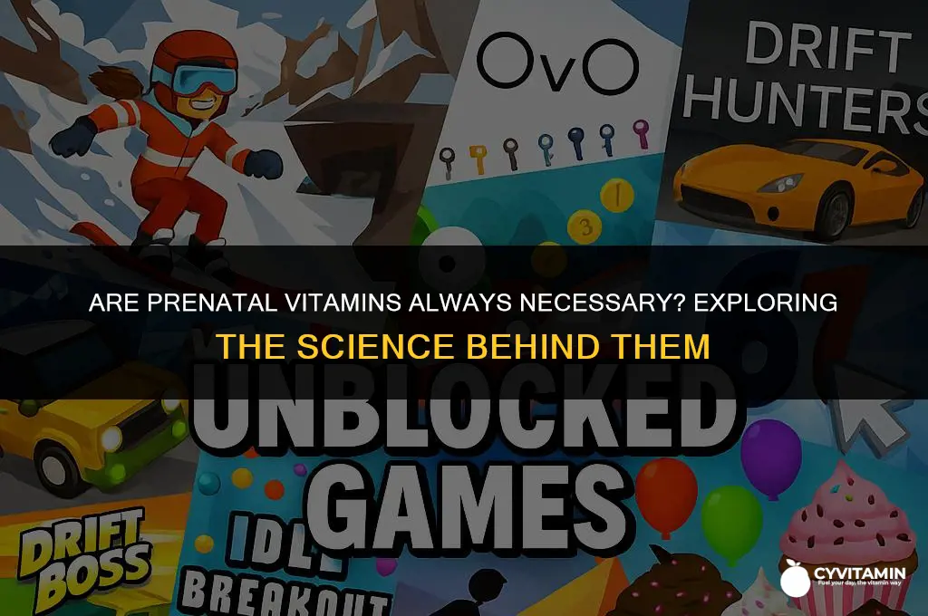 are prenatal vitamins all time