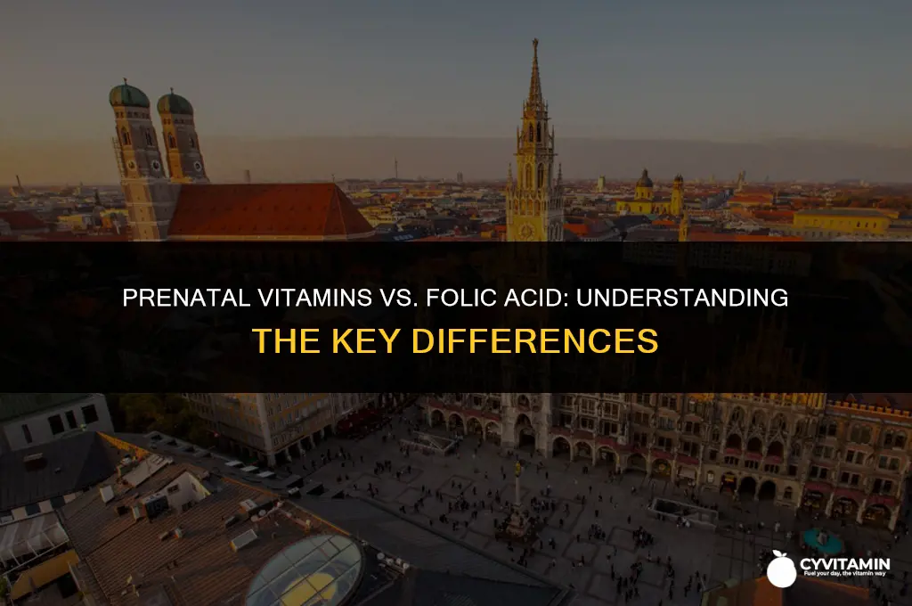 are prenatal vitamins and folic acid the same