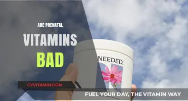 Unveiling the Truth: Are Prenatal Vitamins Really Necessary?