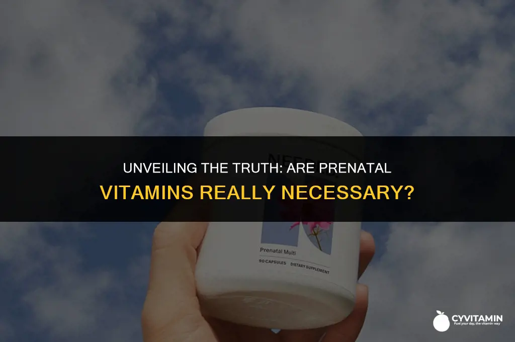 are prenatal vitamins bad