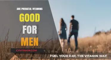Boosting Male Health: The Benefits of Prenatal Vitamins for Men