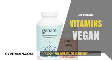 Exploring Vegan Prenatal Vitamins: A Guide for Expecting Mothers