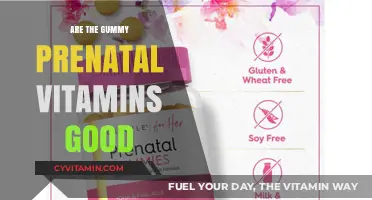 Exploring the Benefits of Gummy Prenatal Vitamins: A Comprehensive Guide