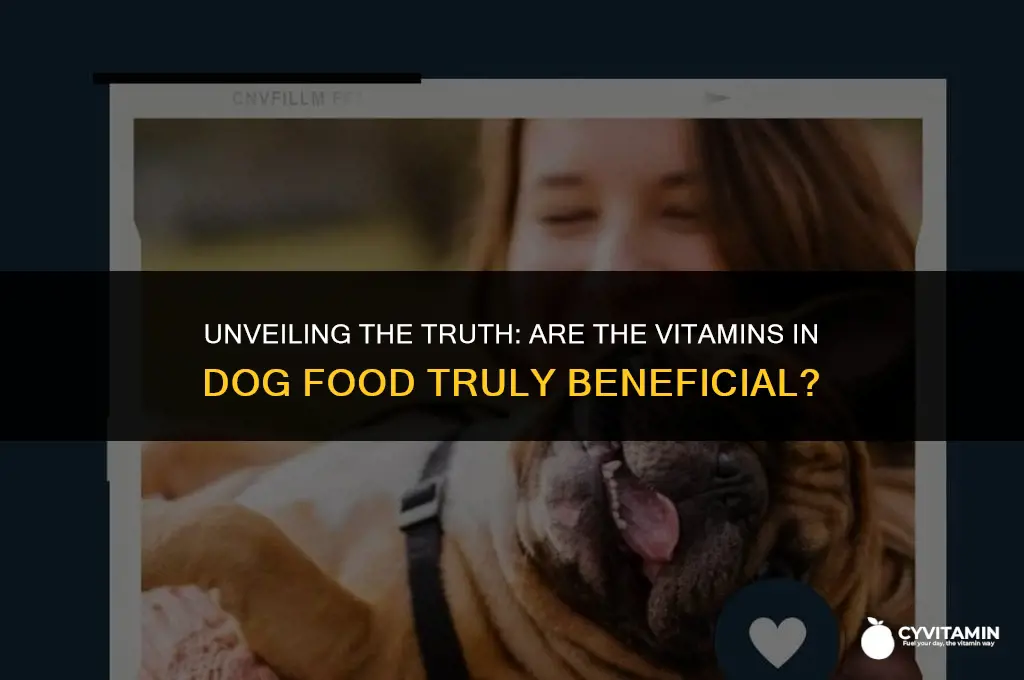 are the vitamins in dog food healthy