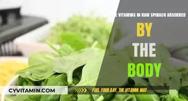 Unlocking Nutrition: The Truth About Vitamin Absorption in Raw Spinach