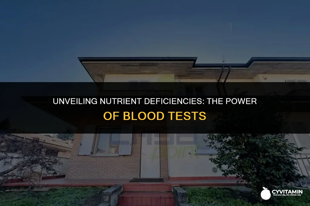 are their blood test to test vitamin and mineral deficiency