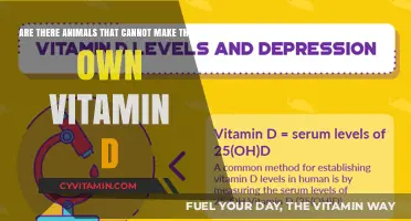 Exploring Nature's Unique Vitamin D Deficiencies in Animals