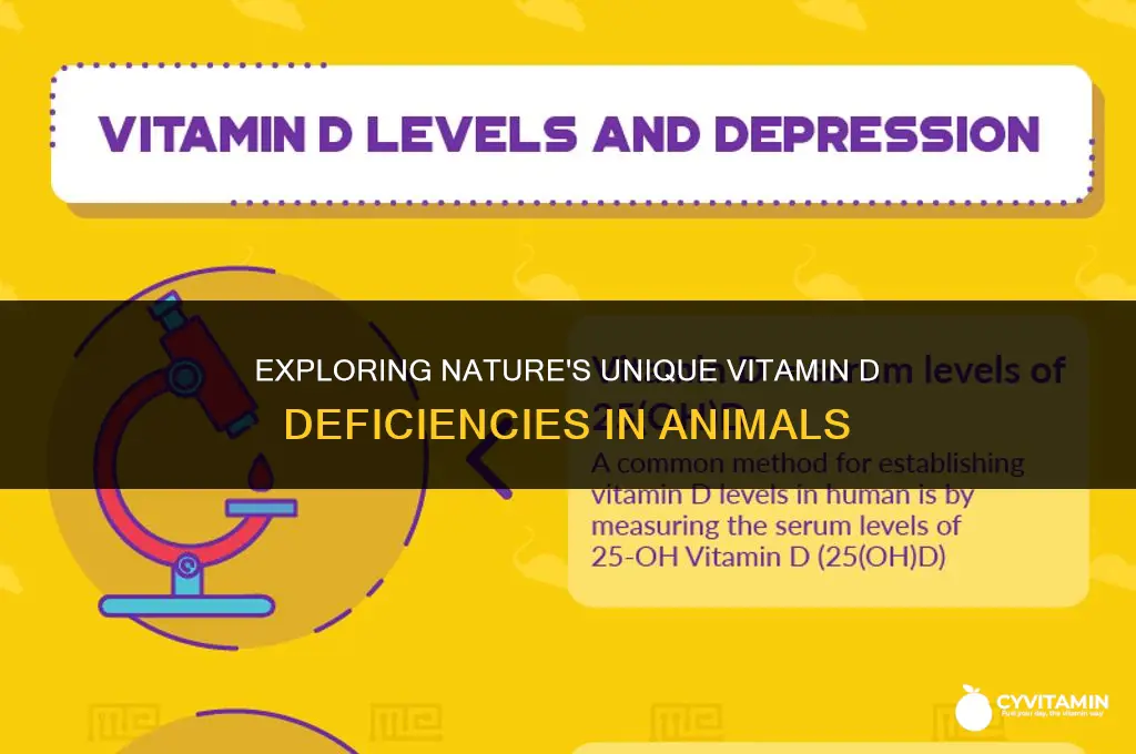 are there animals that cannot make their own vitamin d