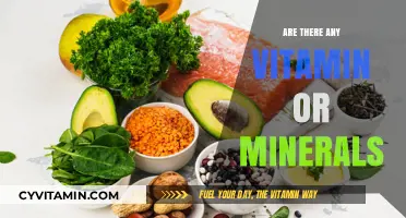 Exploring the Essential Vitamins and Minerals Your Body Needs