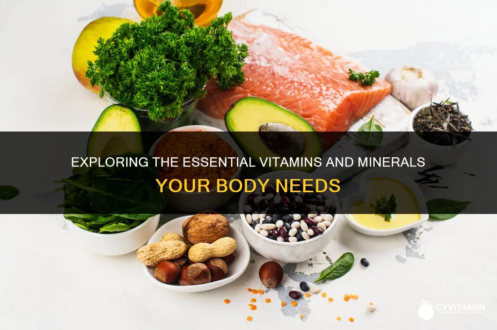 are there any vitamin or minerals