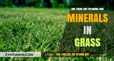 Unlocking Nature's Secrets: The Surprising Nutrient Profile of Grass