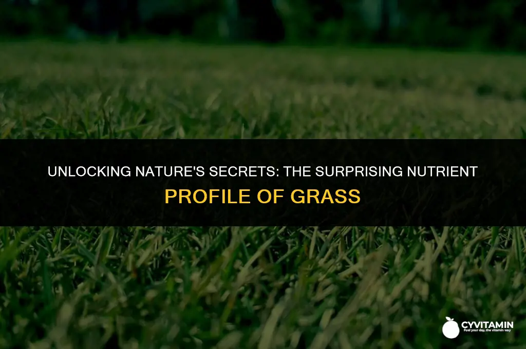 are there any vitamins and minerals in grass
