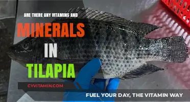 Tilapia's Nutritional Treasure: Vitamins and Minerals Unveiled