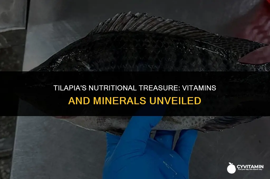 are there any vitamins and minerals in tilapia