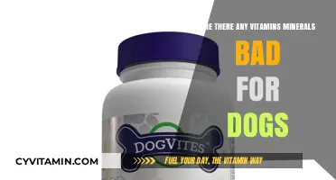 Vitamins and Minerals: The Good, The Bad, and The Ugly for Dogs