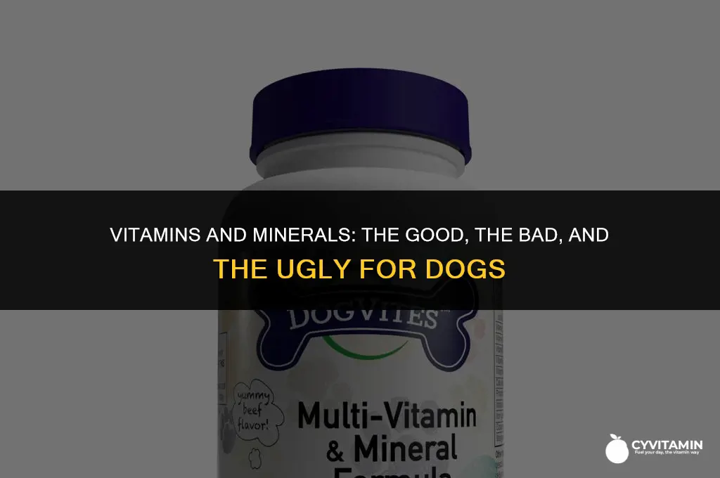 are there any vitamins minerals bad for dogs