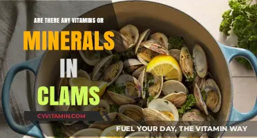 Nutritional Powerhouse: Unveiling the Vitamin and Mineral Riches of Clams