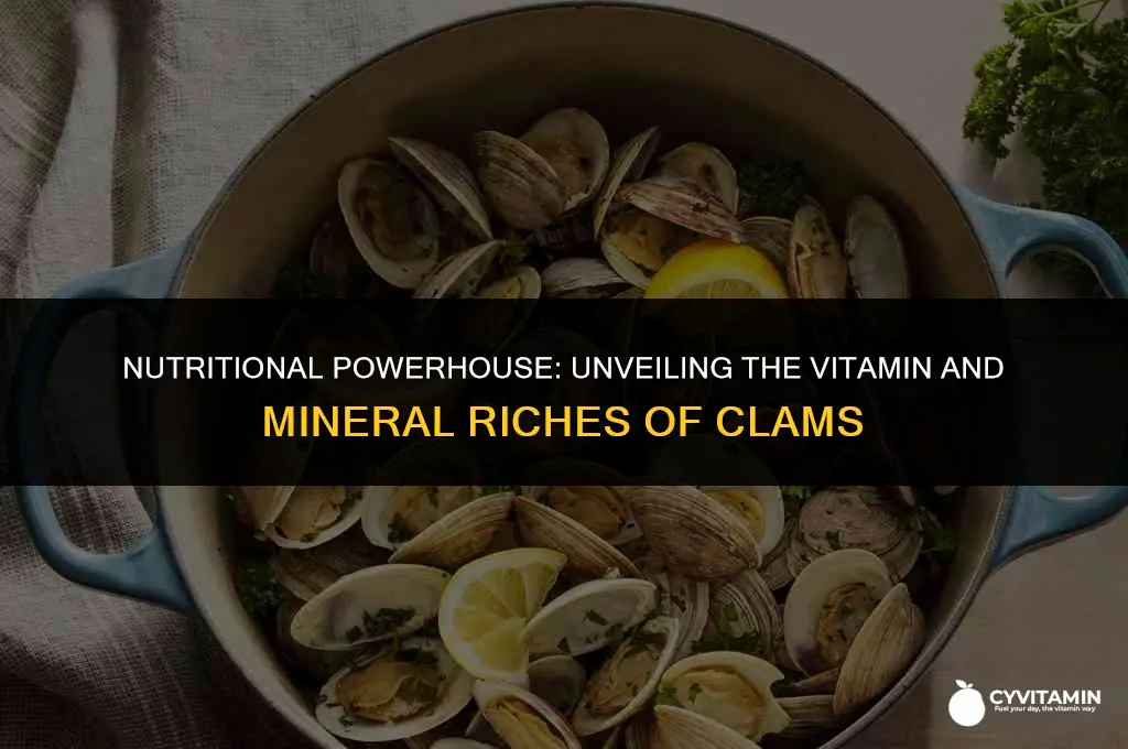 are there any vitamins or minerals in clams