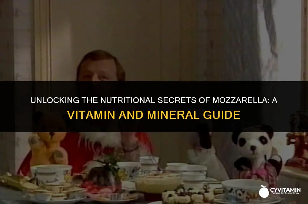 are there any vitamins or minerals in moxarella