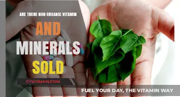 Exploring the Market: Non-Organic Vitamins and Minerals Unveiled