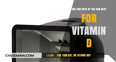 UVB Rays: The Sun's Vitamin D Powerhouse Explained