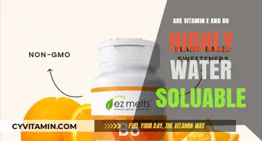 Exploring the Solubility of Vitamins E and B6 in Water