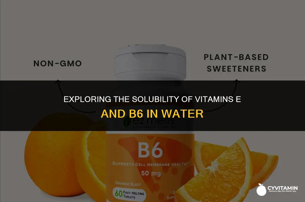 are vitamin e and b6 highly water soluable