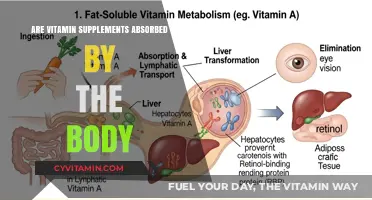 Unlocking Nutrition: The Truth About Vitamin Supplement Absorption