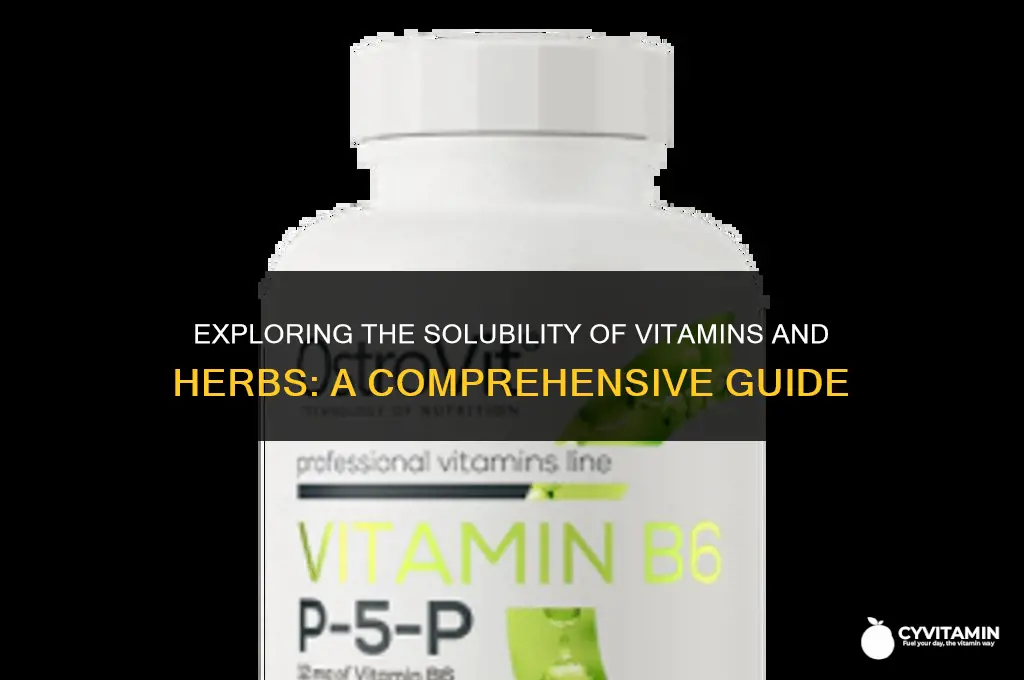 are vitamins and herbs as effective when dissolved in water