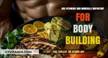 Unlocking Strength: The Crucial Role of Vitamins and Minerals in Bodybuilding