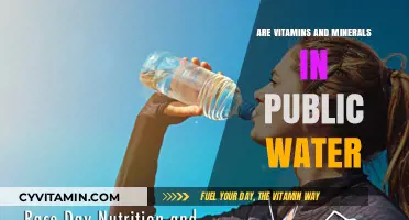 Exploring the Presence of Vitamins and Minerals in Public Water Supplies