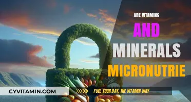 Unlocking the Power of Micronutrients: Vitamins and Minerals Explained