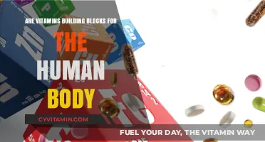 Essential Nutrients: Vitamins as the Building Blocks of Health