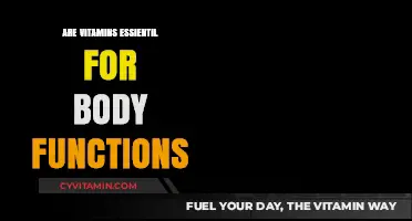 Unlocking Vitality: The Indispensable Role of Vitamins in Bodily Functions