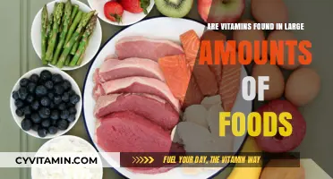 Exploring the Vitamin Content in Everyday Foods: A Nutritional Journey