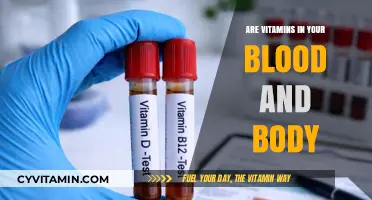 Exploring the Vital Role of Vitamins in Your Blood and Body