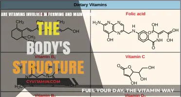 Building Blocks of Health: The Structural Role of Vitamins