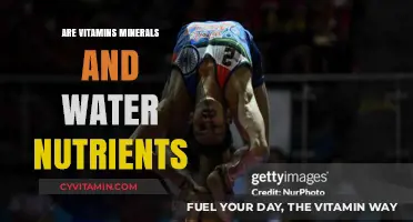 Essential Elements of Health: Vitamins, Minerals, and Water Nutrients