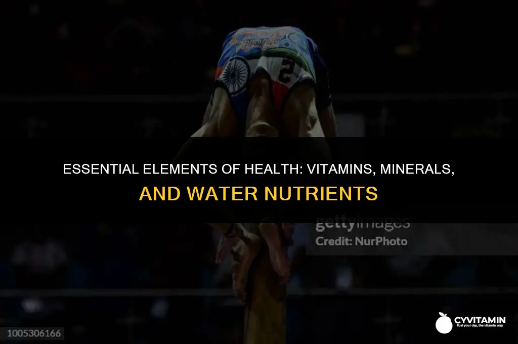 are vitamins minerals and water nutrients