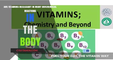Unlocking Biochemical Reactions: The Vital Role of Vitamins in Our Bodies