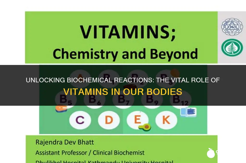 are vitamins necessary in many biochemical reactions in the body