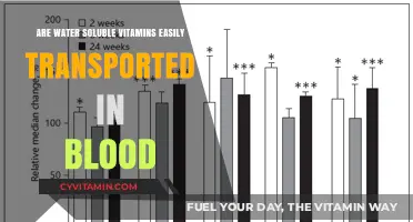 Exploring the Bioavailability of Water-Soluble Vitamins in Bloodstream