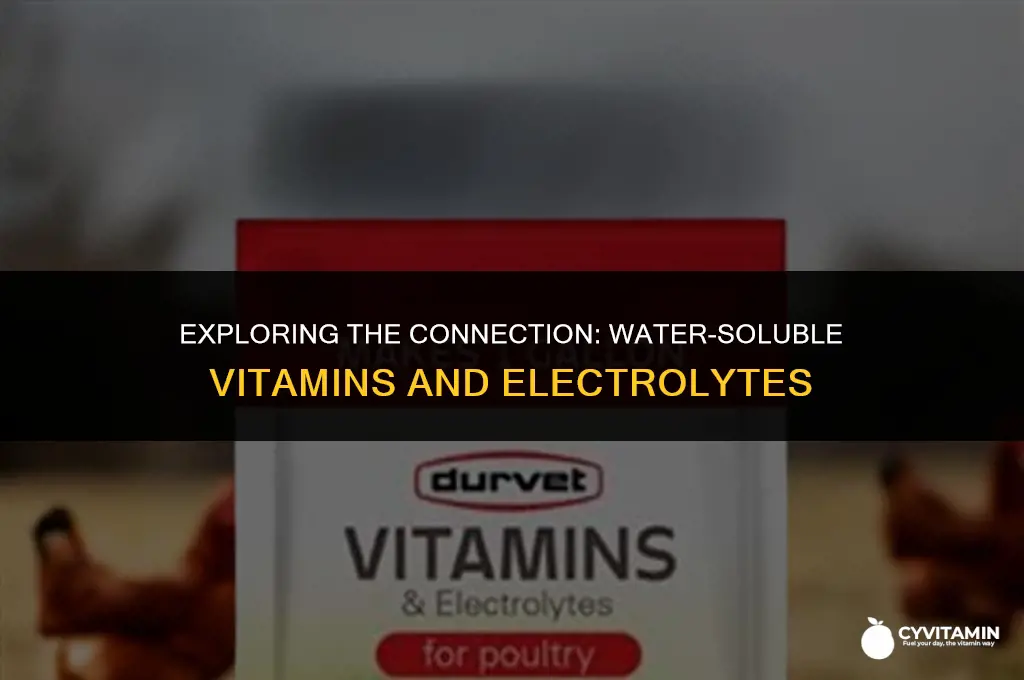 are water soluble vitamins electrolytes