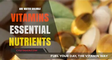 Unlocking Wellness: The Vital Role of Water-Soluble Vitamins in Your Diet